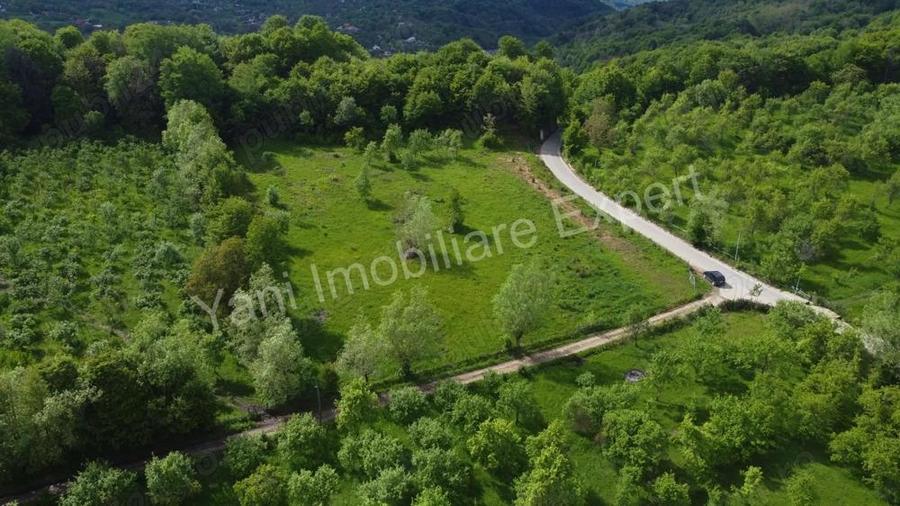 Teren de vanzare in comuna Corbi, jude? Arge?. - 3