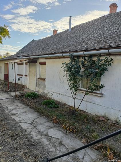 Vind casa in Ungaria localitatea Magyarcsanad la 10 km de Mako si aprope de vamile Cenad si Nadlac - 6