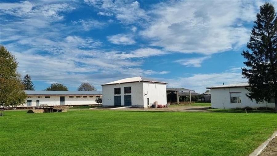 Hala industriala de vanzare in Harlau, 11.500 mp utili, teren 44.268 mp - 9