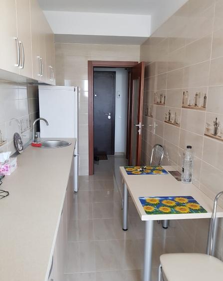 Garsoniera de inchiriat Brancusi Drumul taberei - 3