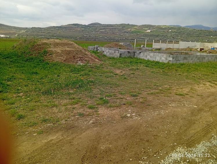 Vind teren in sard - 3