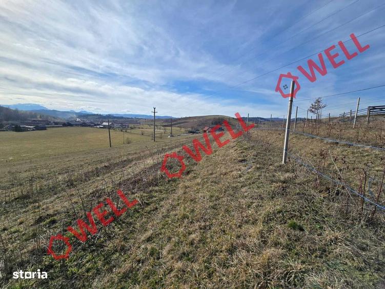Teren intravilan de vanzare in Barcani, cu priveli?te deosebita! - 3