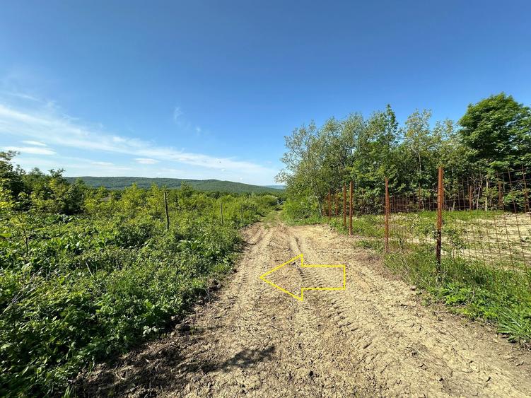 Teren parcele, de la 748mp la 3024mp, Barnova Sf. Ap. Petru - 6