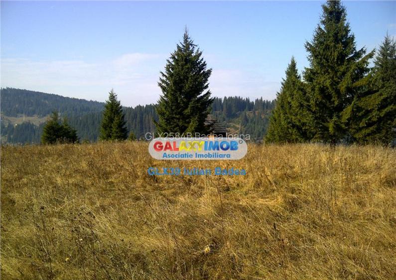 Teren pentru Complex Turistic - 12 730 mp - Vatra Dornei Teren pentru Complex Turistic - 12 730 mp - Vatra Dornei