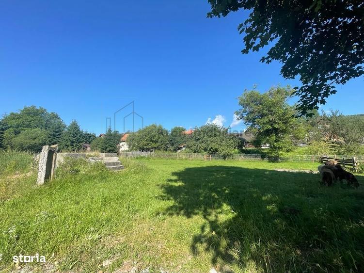 Teren Moieciu de Jos - 1