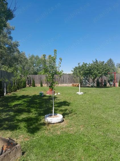De vanzare casa in sat Pocola la 5 km de ora?ul Beiu? - 3