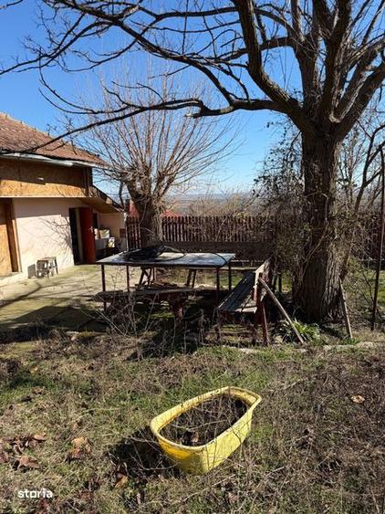 Vand casa plus teren Pietroasele - 5