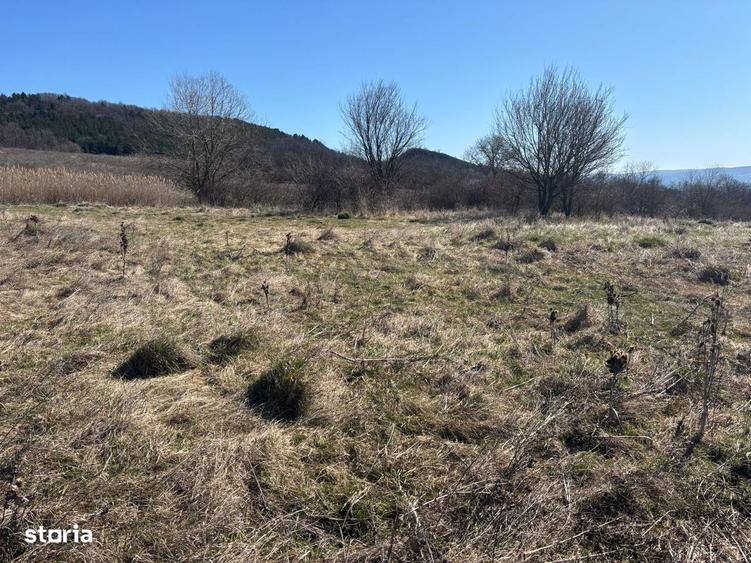 Teren intravilan cu panorama splendida - 3