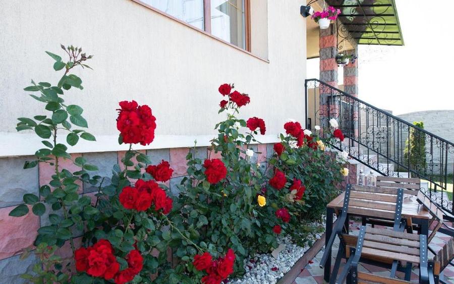 Casa deosebita in zona centrala Sanpetru teren generos! - 9