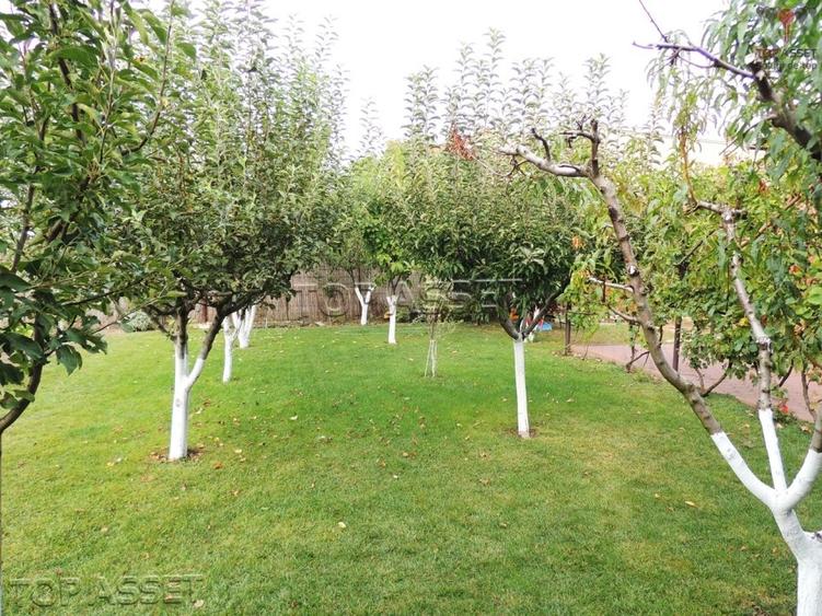 Ansamblu de proprietati in Costinesti - 16