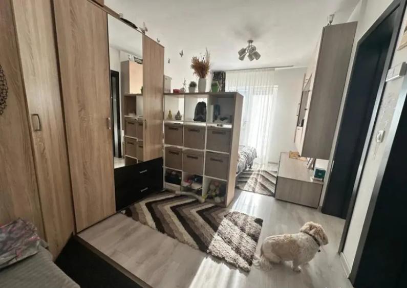 Garsoniera open space - zona Sanpetru - 1