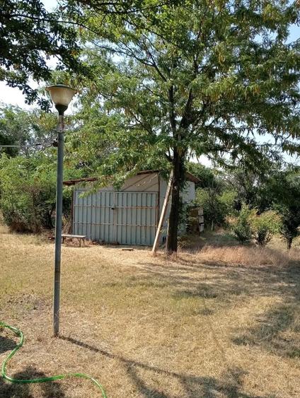 Vand casa cu 2500 mp teren - 3