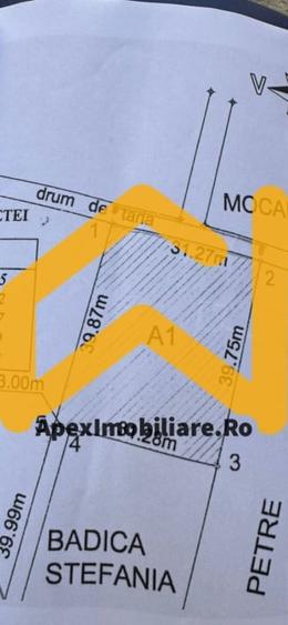 Comision 0% Cumparator | Teren Intravilan 1246 mp Berceni Giurgiului | Bucuresti - 1