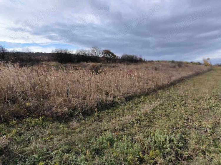 Teren excelent pentru investitie Cluj-Iris - 3