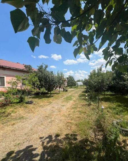 Casa de Locuit cu Teren si Curte Mare Tiganesti, Teleorman - 7