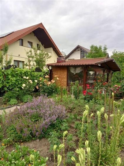 Bacau ,  Vila, la 5 minute de Centrul Orasului - 10
