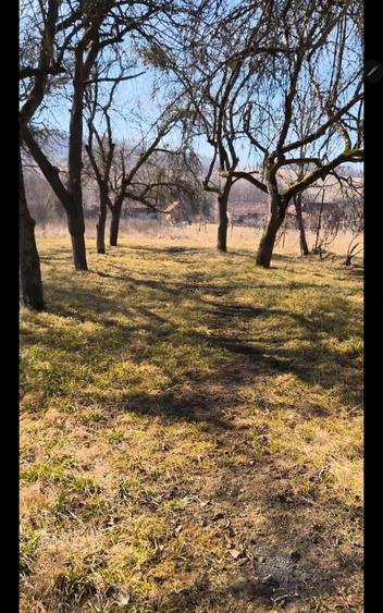 Teren intravilan, 2848 MP, Arghisu - 8