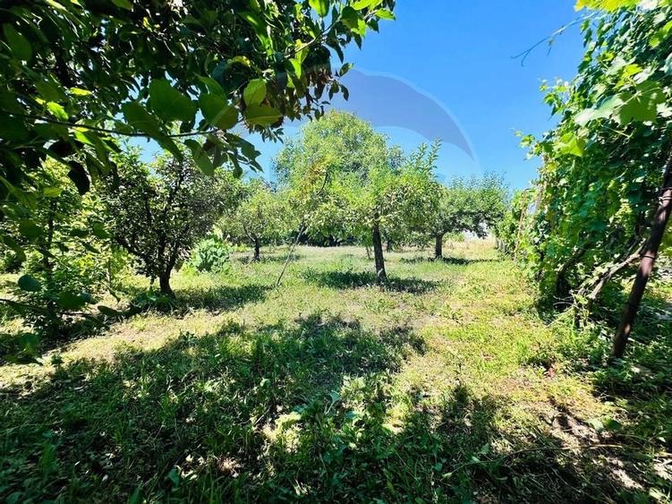 Casa cu Toate Utilitatile,Vedere Panoramica,Livada-Stefanesti, Arges - 34