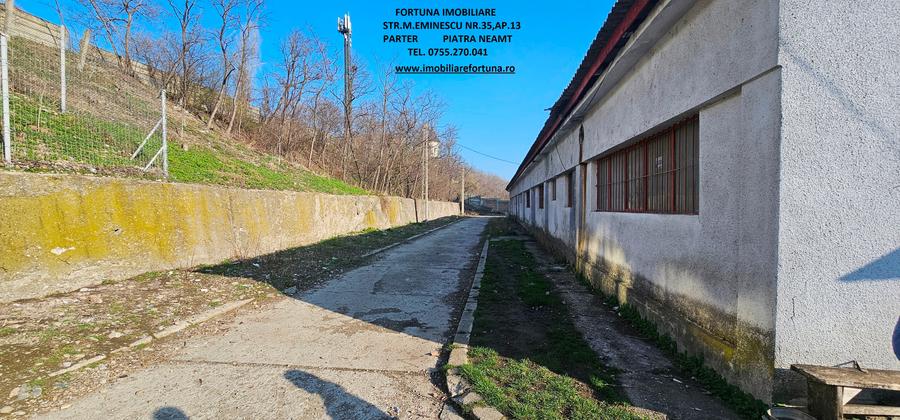 Hala si teren , Piatra Neamt - 1