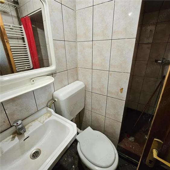 Doua case vecine, cu vad, in Bucure #537;ti, Tineretului, Parcul Carol - 8