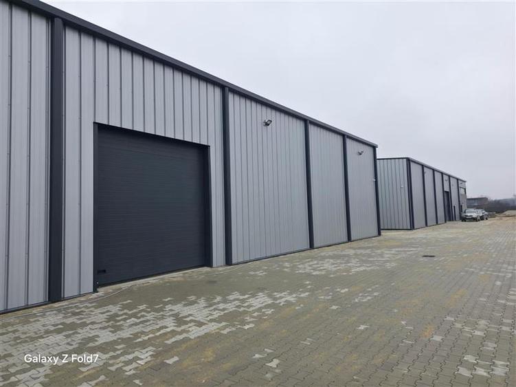 Vanzare depozit/hala/spatiu industrial Mogosoaia - Buftea - 1