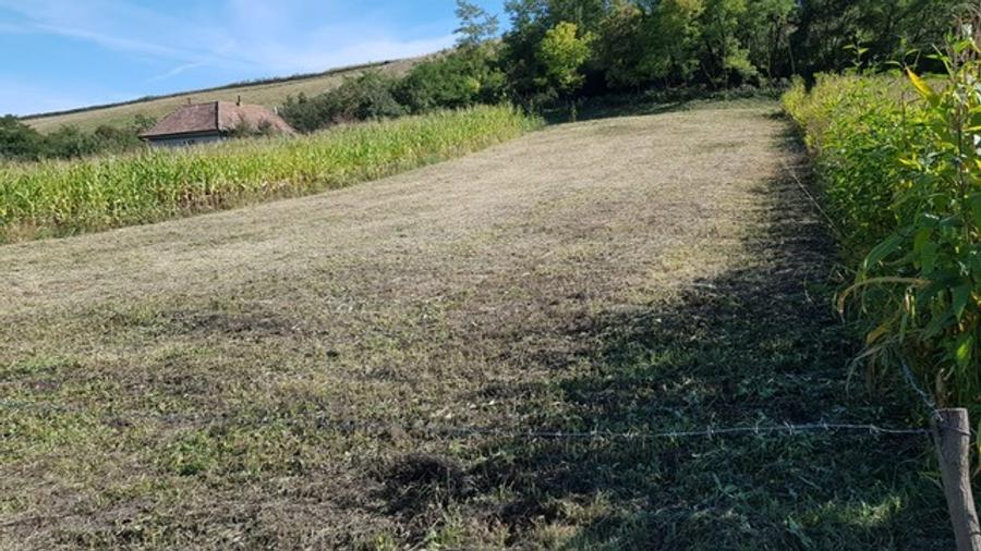 Vând 1200m teren intravilan și 1700m teren extravilan în Comuna Căianu, jud. Clu - 4