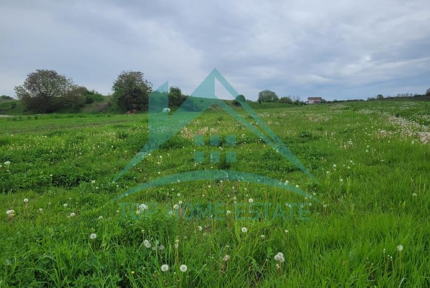 OPORTUNITATE! De vanzare terenuri extravilane in Tureni si Turda! - 3