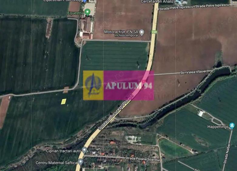 Teren 715mp in Snagov langa Equestria - 1