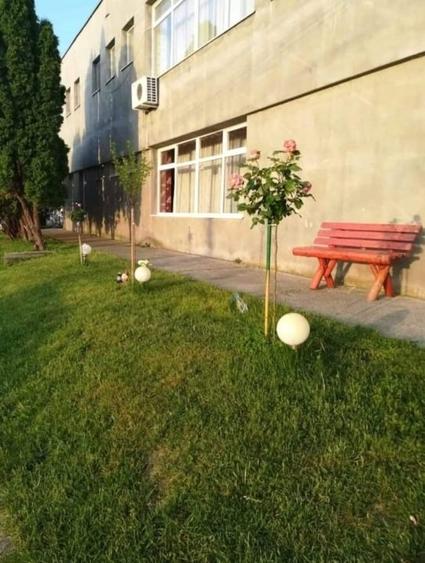 Spatiu comercial de vanzare - 3