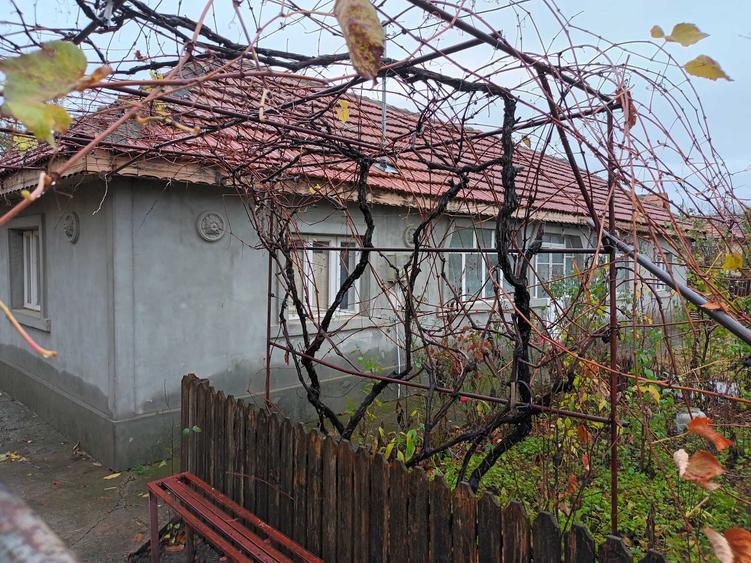 Casa de vanzare Vadu Pasii Jud.Buzau - 2
