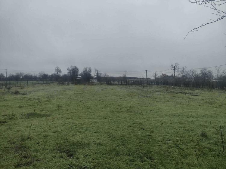 TEREN INTRAVILAN DE VANZARE la 85 km de Bucuresti - 4