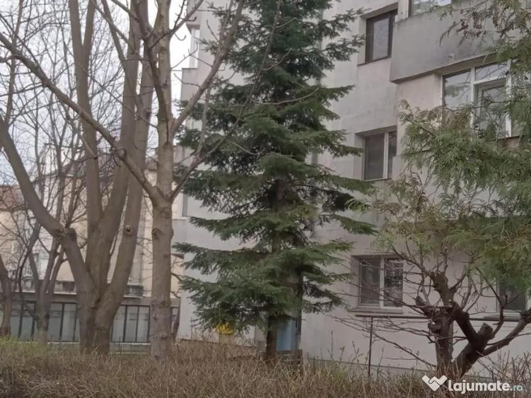 Vand apartament cu 3 camere str. Savenilor - 2