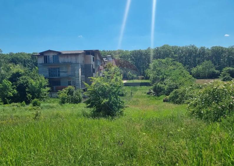 Teren 872,43 mp Snagov - 3