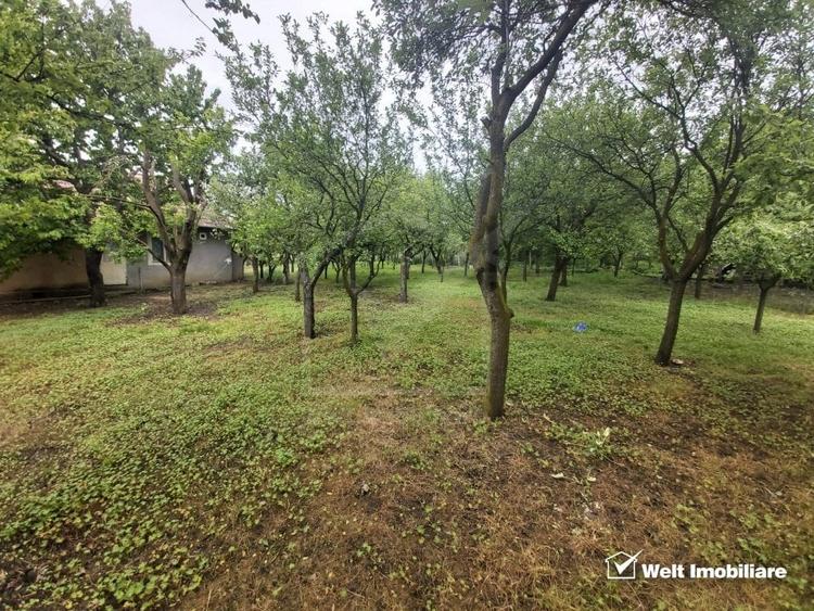 Casa de vanzare, teren 1700 mp, Ceanu Mic, judetul Cluj - 28