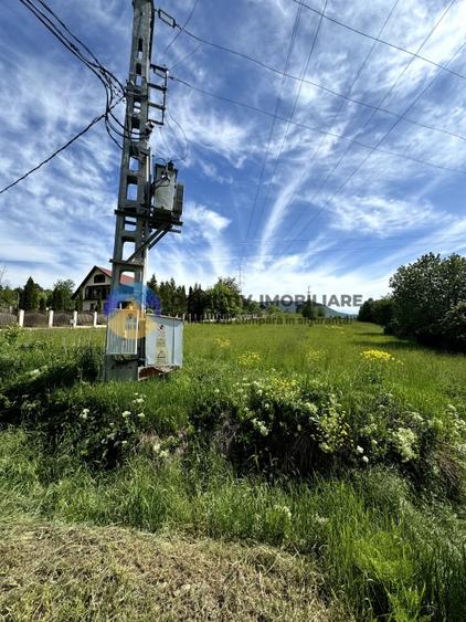 Teren Viisoara - comuna Alexandru cel Bun - 6