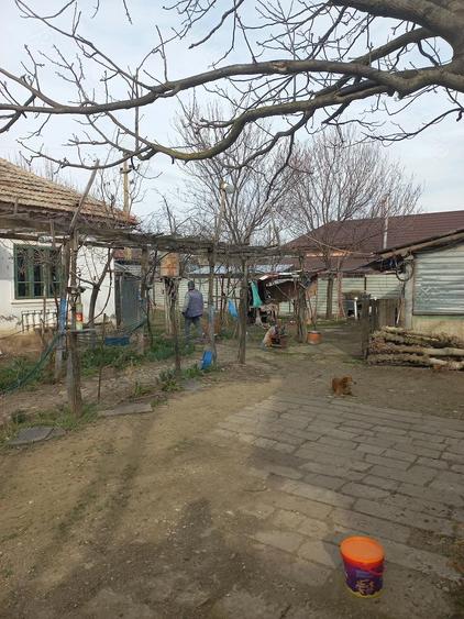 Vand urgent 2 case in aceea?i curte in BARCA, Dolj la 40 km de Craiova - 3