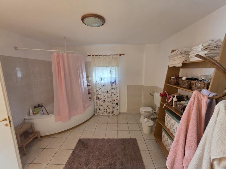 Dristor, Camil Ressu, 15 minute metrou, pe strada Ilioara - 1