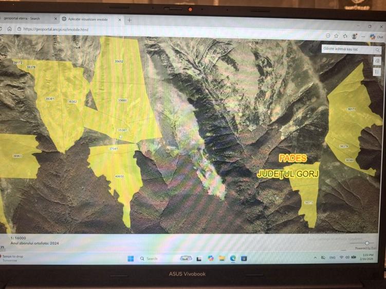 Teren pasune de vanzare - 2