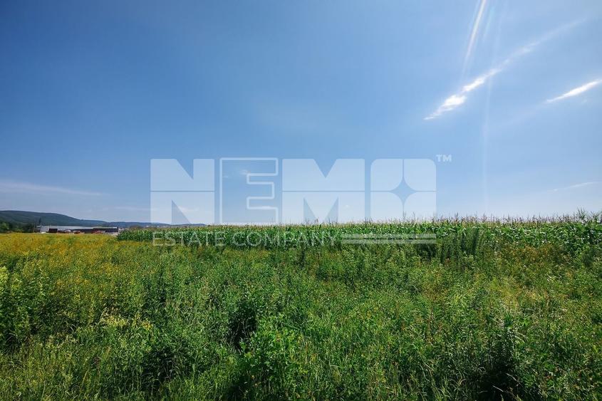 Teren agricol extravilan de 2500 mp, în Periferie