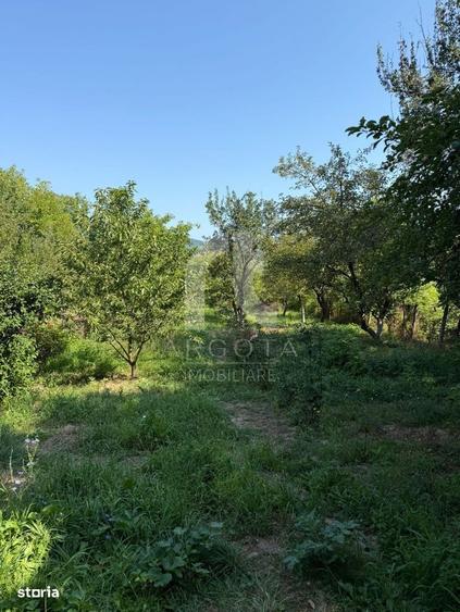 Casă cu 3 camere în Viperești
