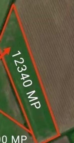 Teren Intravilan Bod - 2