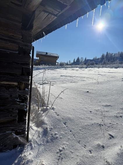 Teren satul Sirnea, intravilan, deschidere 120 m la drum asfaltat, - 6