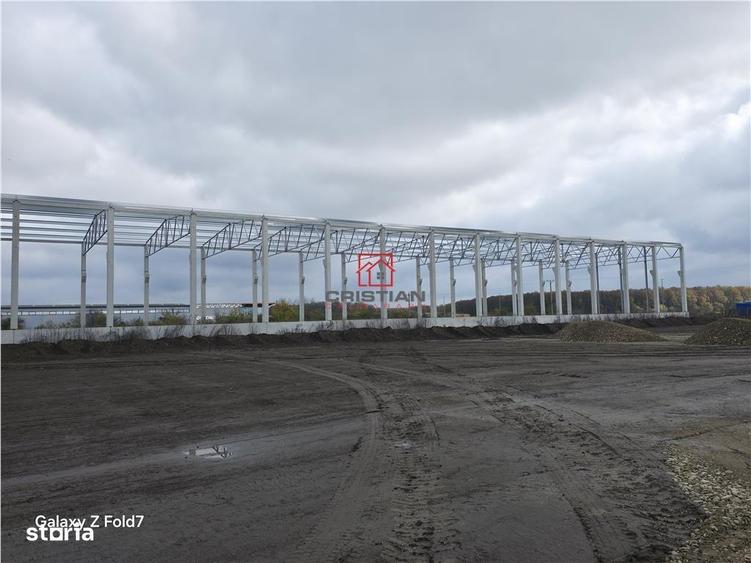 Vanzare depozithalaspatiu industrial Mogosoaia - Buftea - 6