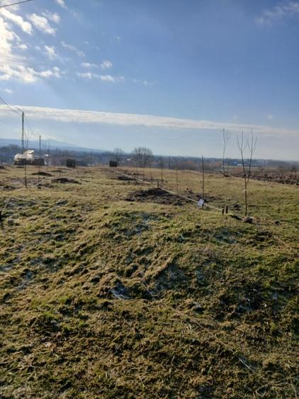 Teren intravilan de vanzare - 2