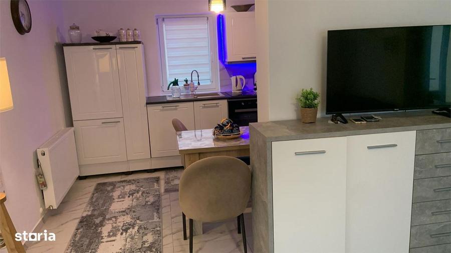 Casa Individuala Dragsina la 13 km de Timisoara - 6