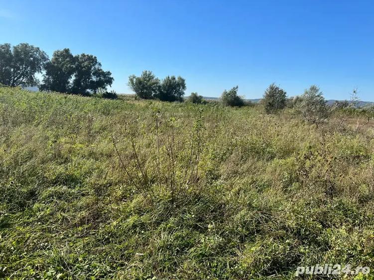 Teren de 3300 mp, în Central