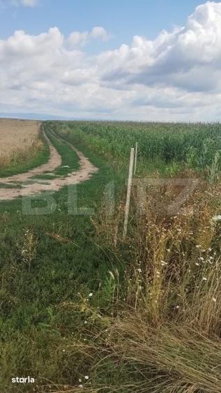 Teren de 10000 mp, în Bartolomeu