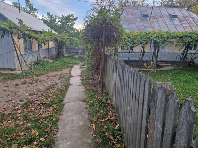 Teren în Pădureni (Șendriceni)