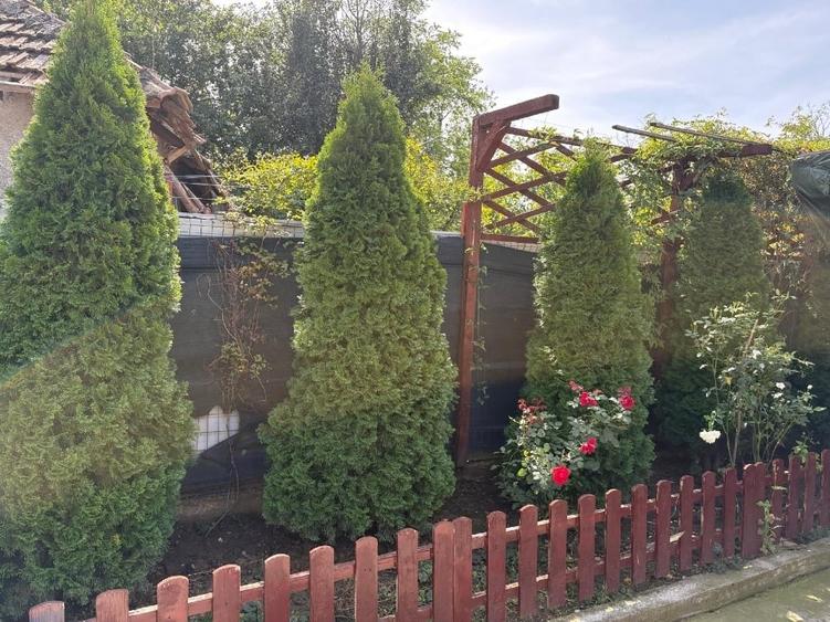 Casă individuală cu 4 camere cu Canalizare în Sărățeni