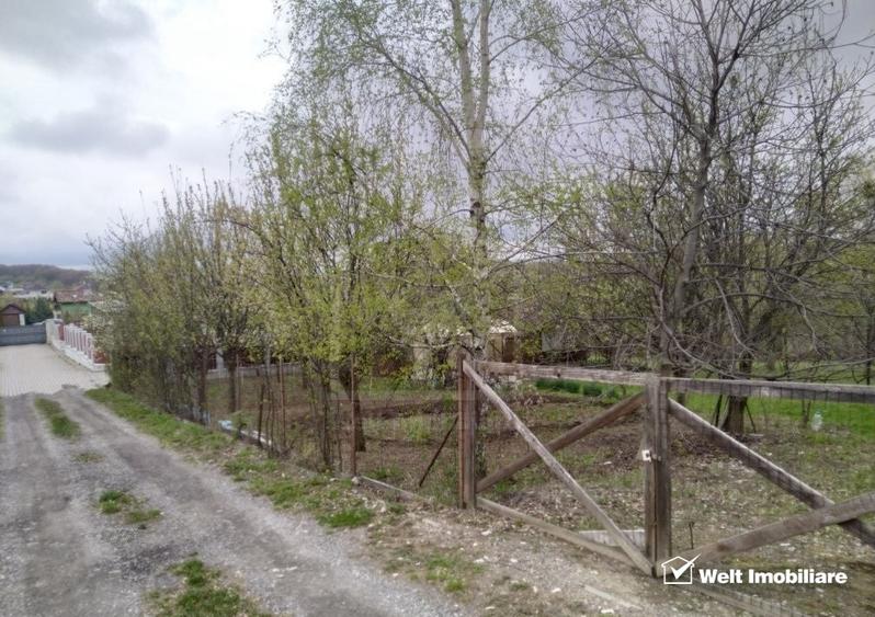 Teren constructii , drum de acces, Salicea - 1